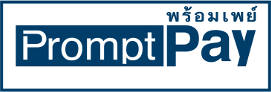 prompt-pay