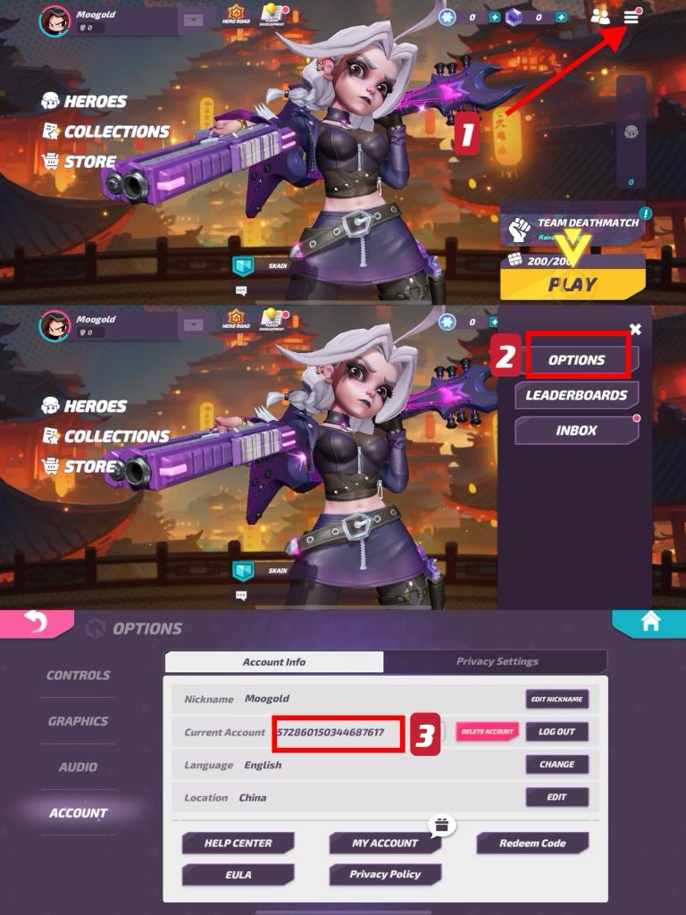 t3-arena-player-id